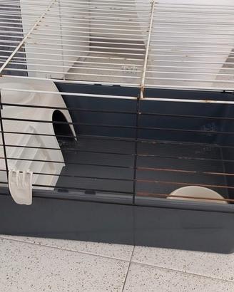 gabbia per porcellini d'india o conigli 