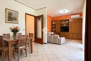3 LOCALI A TAVAGNACCO