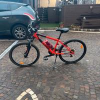 Bicicletta Mountain bike