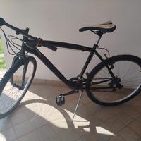 Bicicletta da citta-Bici usata in ottime condizion