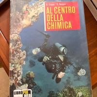 Al centro della chimica. Vol. 1