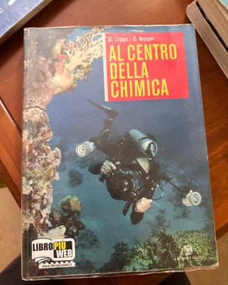 Al centro della chimica. Vol. 1