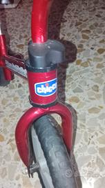 bicicletta per bimbi 