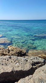 Economica fronte MARE LIBERA GIUGNO LUGLIO