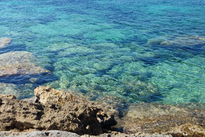 Economica fronte MARE LIBERA GIUGNO LUGLIO