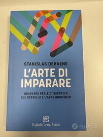 STANISLAS DEHAENE L'ARTE DI IMPARARE