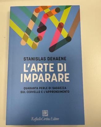 STANISLAS DEHAENE L'ARTE DI IMPARARE