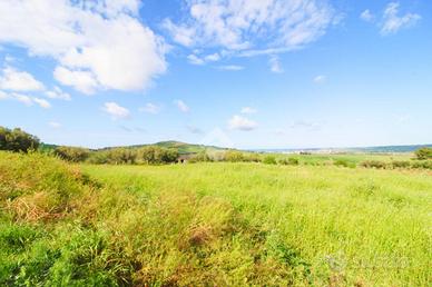 TER. AGRICOLO A GUGLIONESI