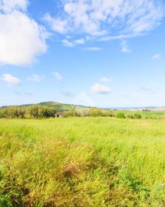 TER. AGRICOLO A GUGLIONESI