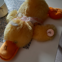 Peluche