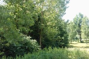 Terreno ottiglio monferrato (al)