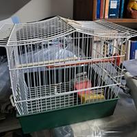 gabbietta per uccelli