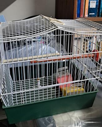 gabbietta per uccelli