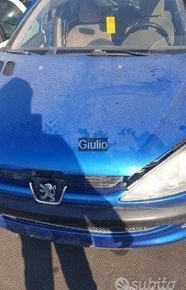 Peugeot 206 hdi ricambi