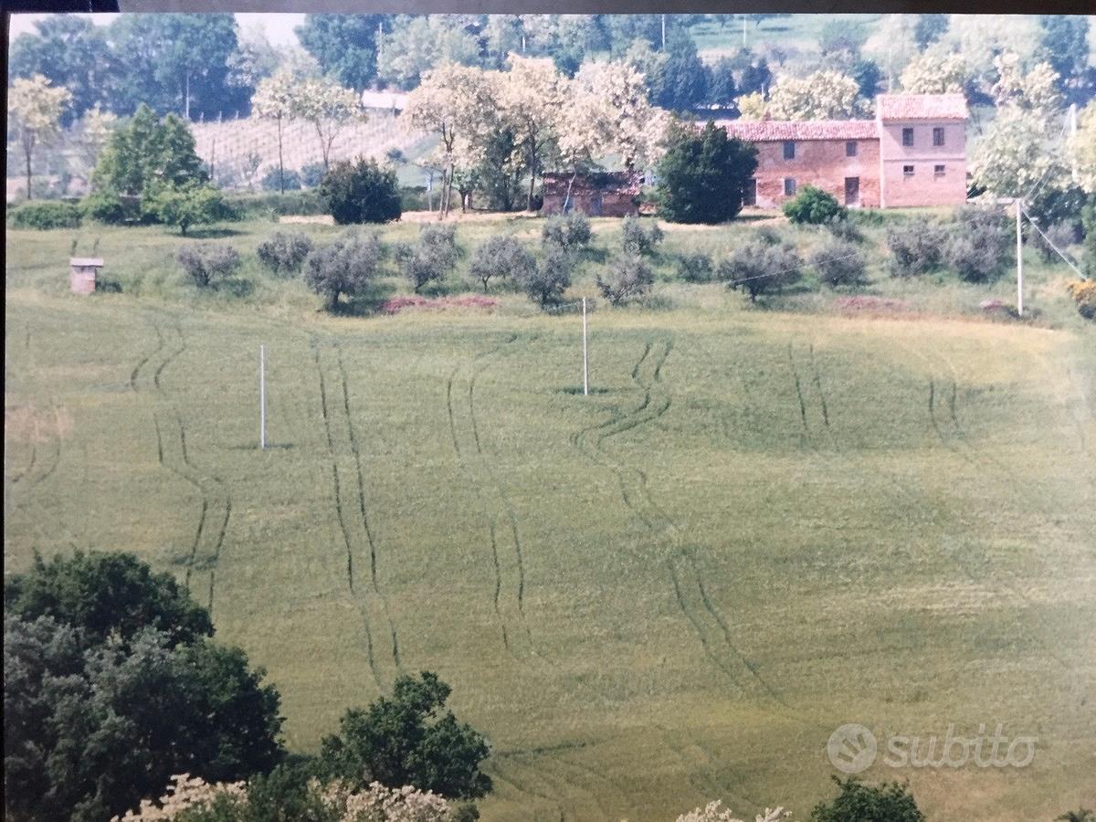 Casolare campagna, Colli al Metauro -Serrungarina - Vista 5