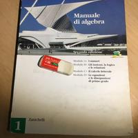 Manuale di algebra. Zanichelli