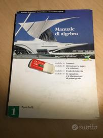 Manuale di algebra. Zanichelli