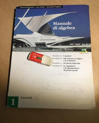 Manuale di algebra. Zanichelli