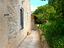 Immagine 9