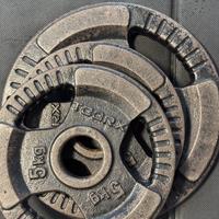 Dischi in ghisa TOORX foro 50 mm – vari pesi (5–20