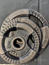 Dischi in ghisa TOORX foro 50 mm – vari pesi (5–20