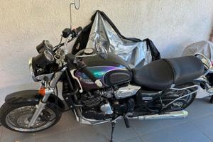 Triumph 900 legend tt