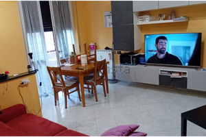 Rozzano stanza singola