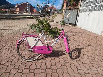  due biciclette cinzia e bici da passeggio 