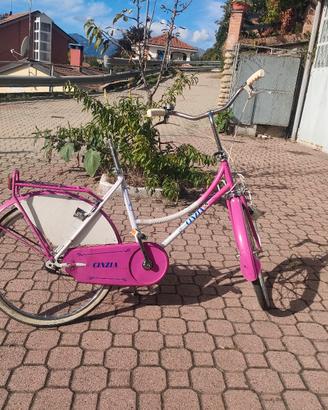  due biciclette cinzia e bici da passeggio 