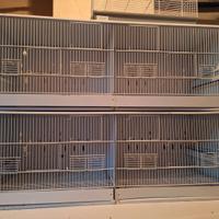 Gabbia da cova canarini