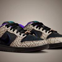 Nike SB Dunk Low Pro x Dashawn Jordan