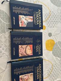 Anatomia Umana Anastasi Quinta edizione