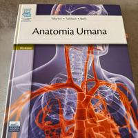 Anatomia umana martini