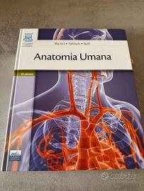 Anatomia umana martini