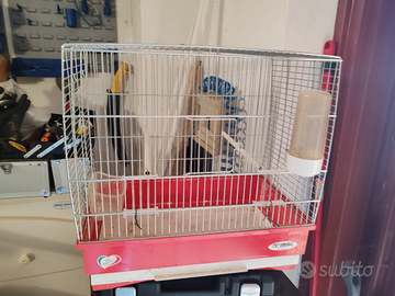 Gabbia imac 42x45x26cm