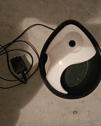Fontana gatto
