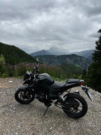Honda CB 750 Hornet 2025