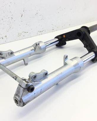 PIAGGIO X9 MOT HONDA 250 FORCELLA FODERI STELI E P