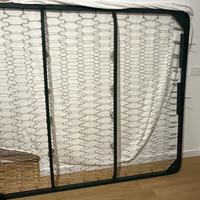 Rete mareikoniae a molle