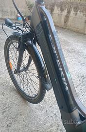 bicicletta elettrica 