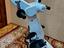 Immagine 1