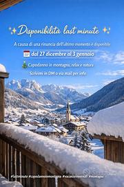 Disponibilità vacanze capodanno
