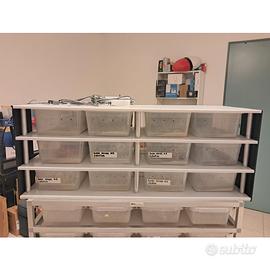 Rack professionale per rettili 