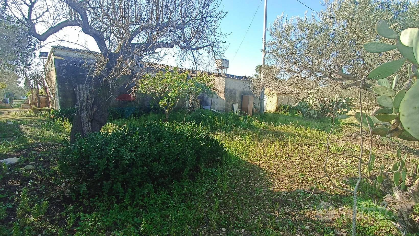 Rustico - Chiaramonte Gulfi - Vista 5