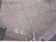 Immagine 24