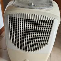 deumidificatore Delonghi 