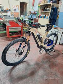 EBIKE