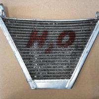 Radiatore aggiuntivo R6