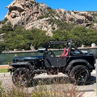 Jeep Wrangler storico omologate ruote 33