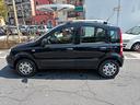 fiat-panda-1-2-emotion